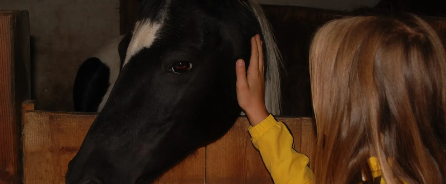 Campeggio Ansitz Wildberg