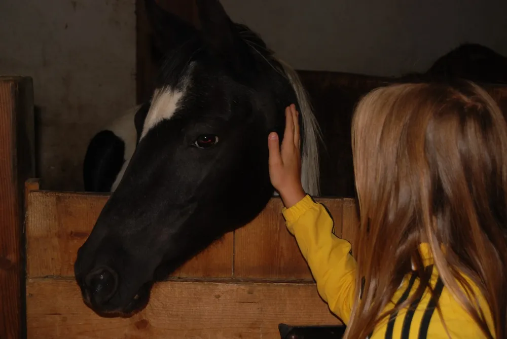 Campeggio Ansitz Wildberg