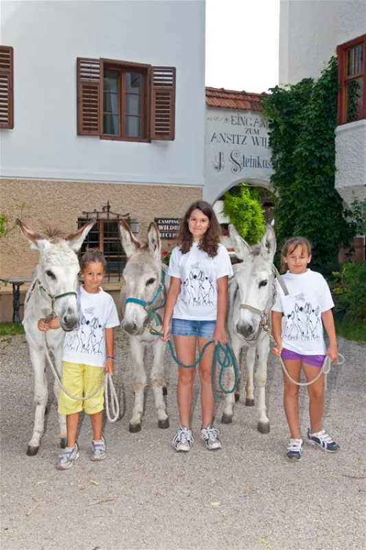 Campeggio Ansitz Wildberg