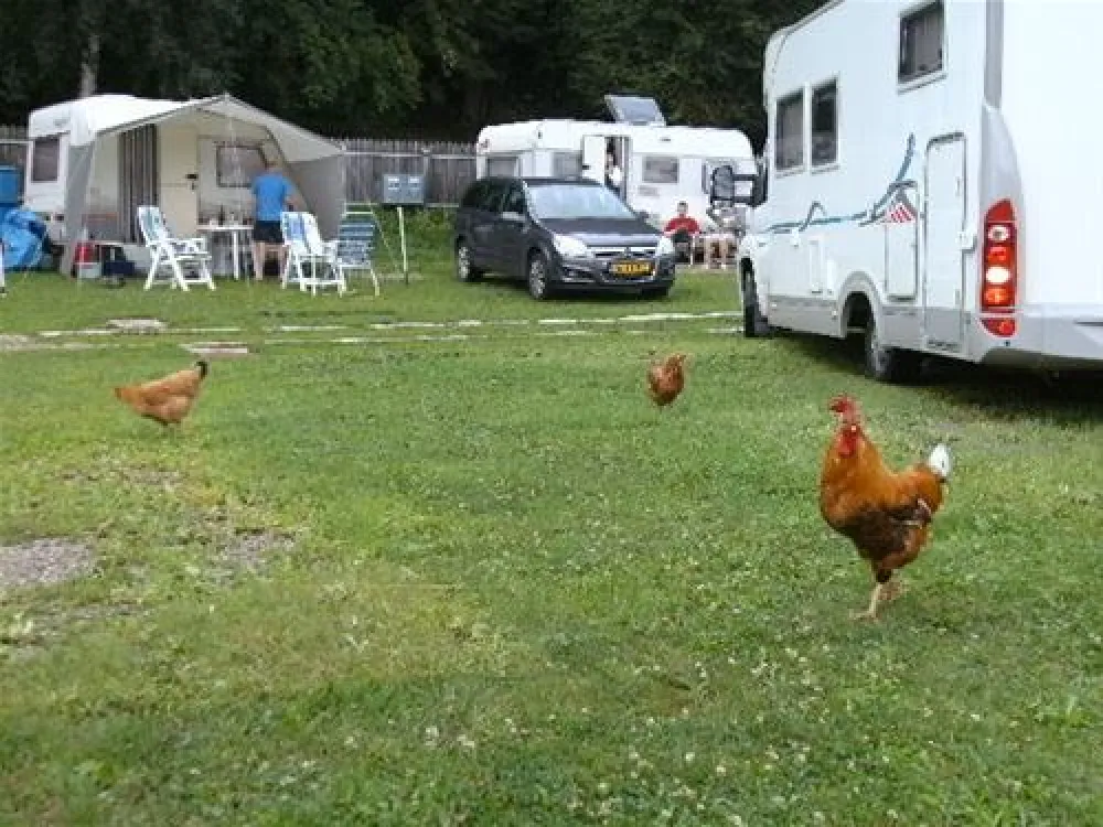 Campeggio Ansitz Wildberg