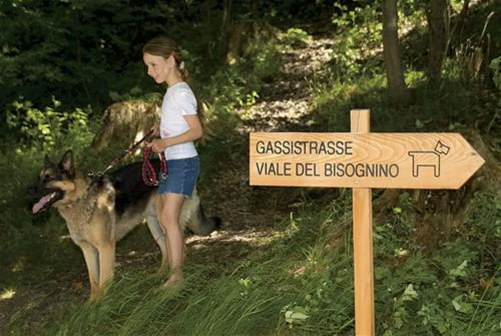 Campeggio Ansitz Wildberg