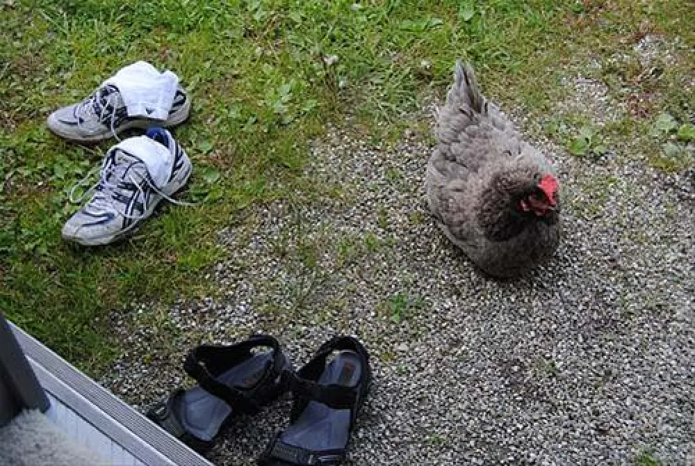 Campeggio Ansitz Wildberg