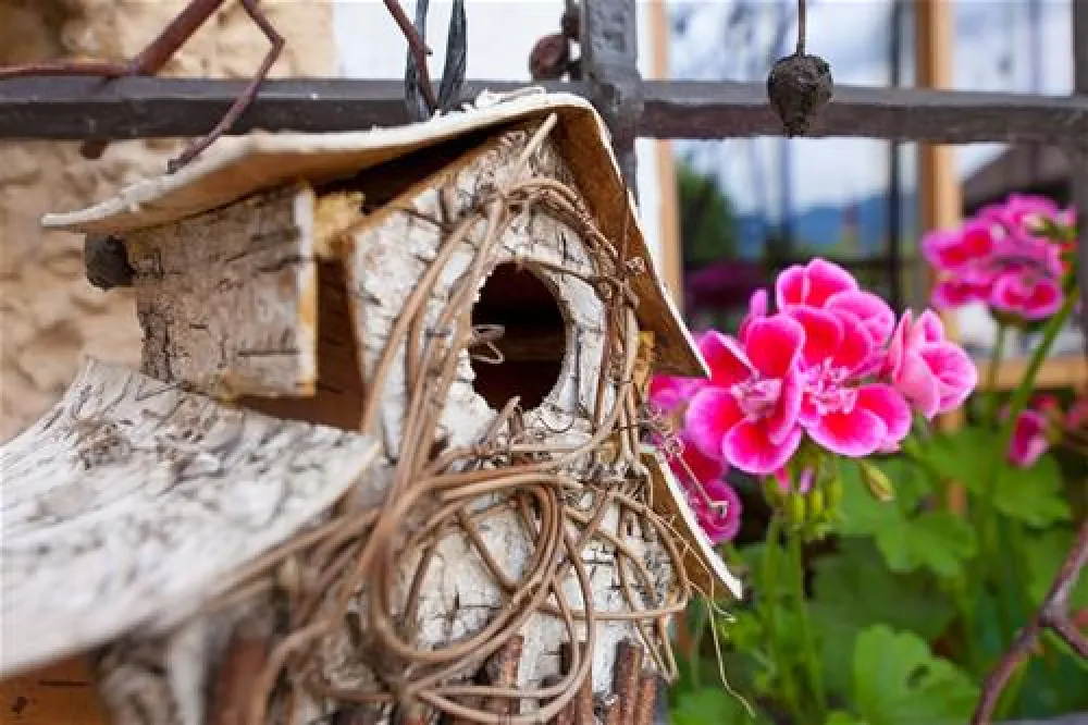 Campeggio Ansitz Wildberg