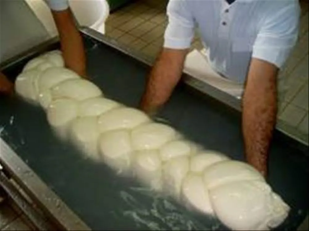 Camping Villaggio Desiderio