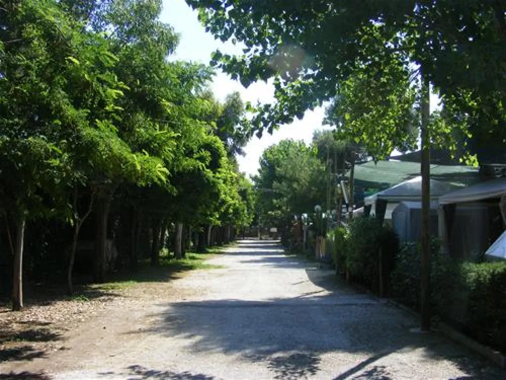 Camping Villaggio Desiderio