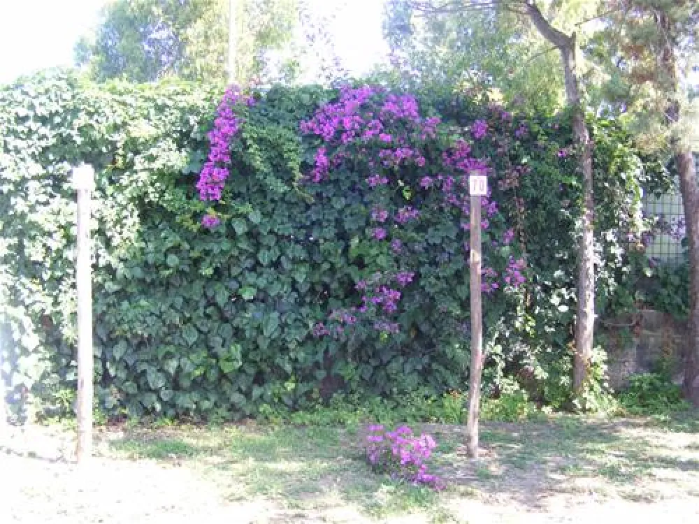 Camping Villaggio Desiderio