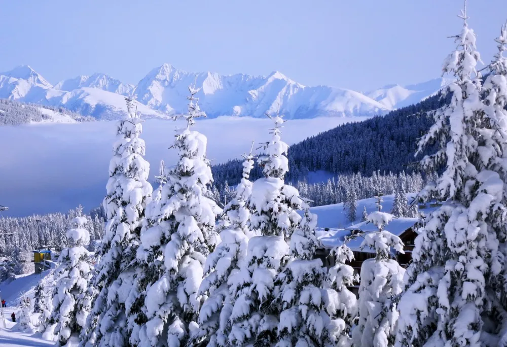 Sommer- und Wintercamping Ramsbacher