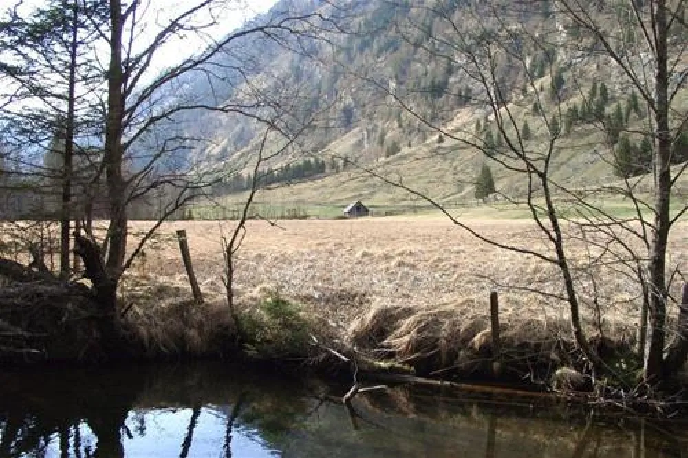 Sommer- und Wintercamping Ramsbacher