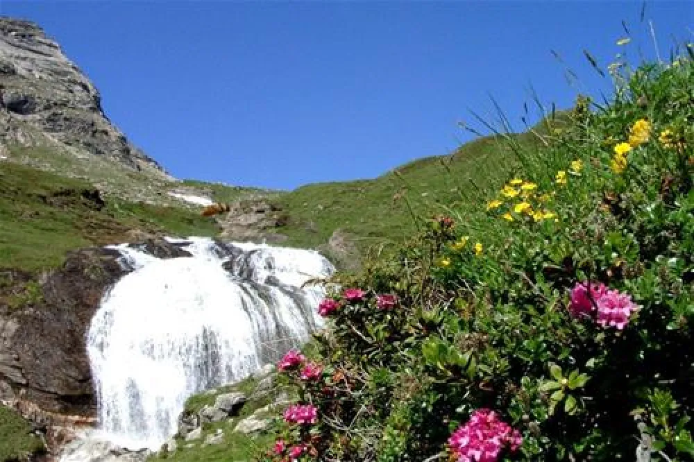 Sommer- und Wintercamping Ramsbacher