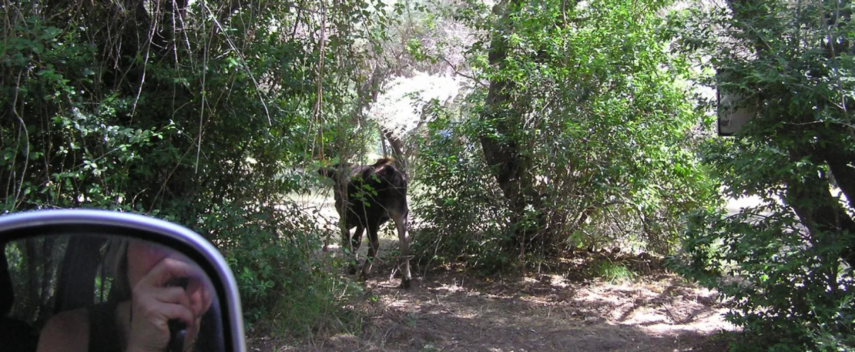 Camping Les Deux Torrents