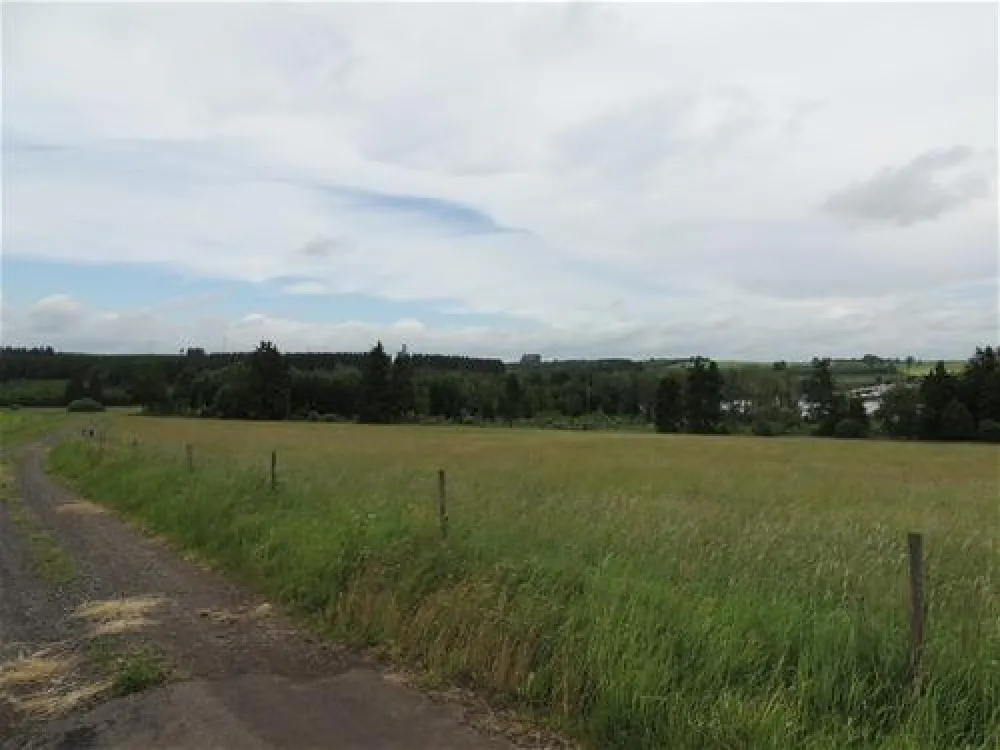 Erlebnis- und Freizeitwelt Nieder-Mooser See