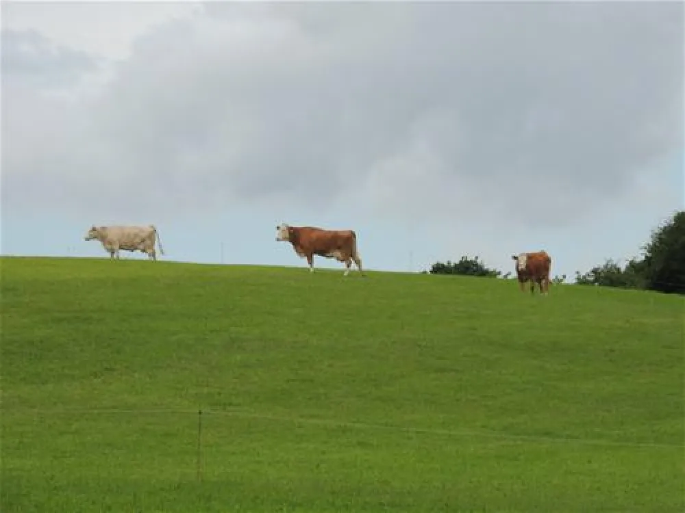 Erlebnis- und Freizeitwelt Nieder-Mooser See