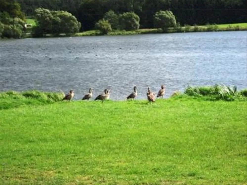 Erlebnis- und Freizeitwelt Nieder-Mooser See