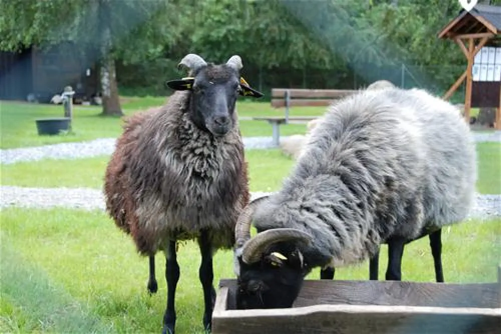 Camping-Ferienpark Heidesee