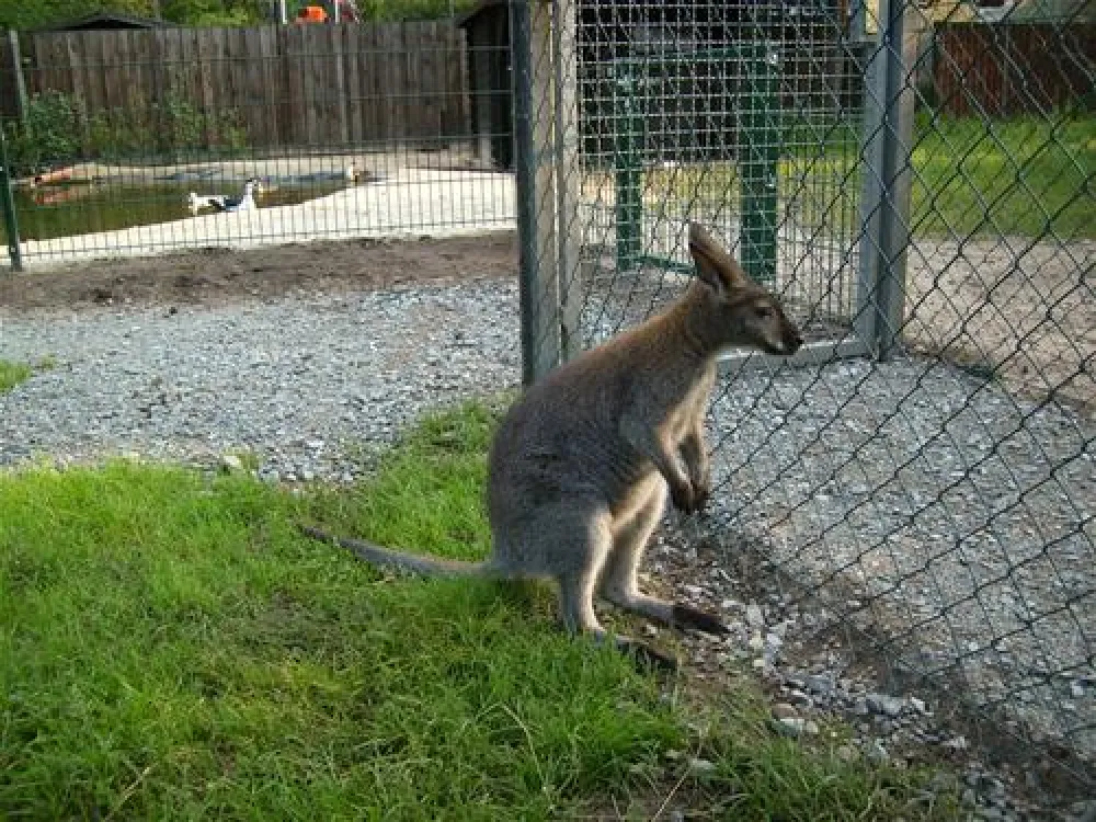 Camping-Ferienpark Heidesee