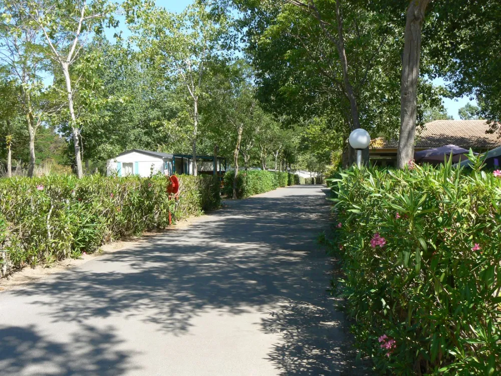 Camping Le Rochelongue