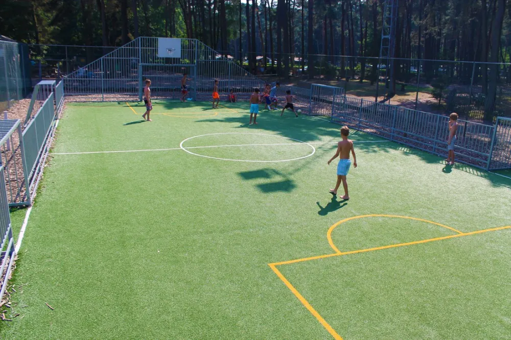 Camping Goolderheide