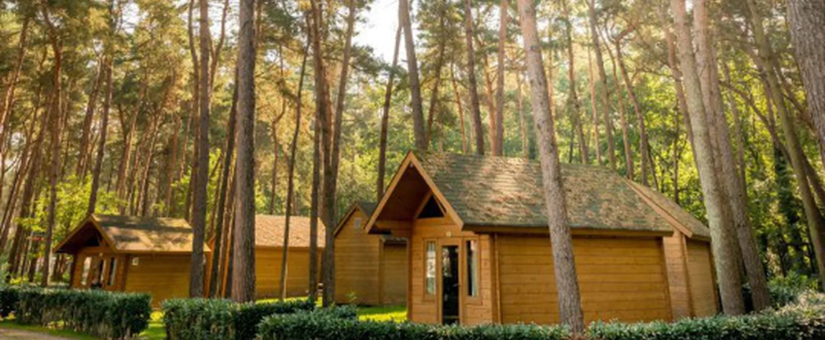 Camping Goolderheide