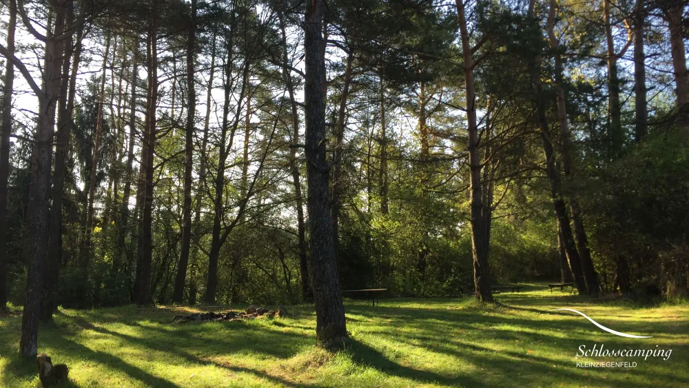 SchlossCamping Kleinziegenfeld