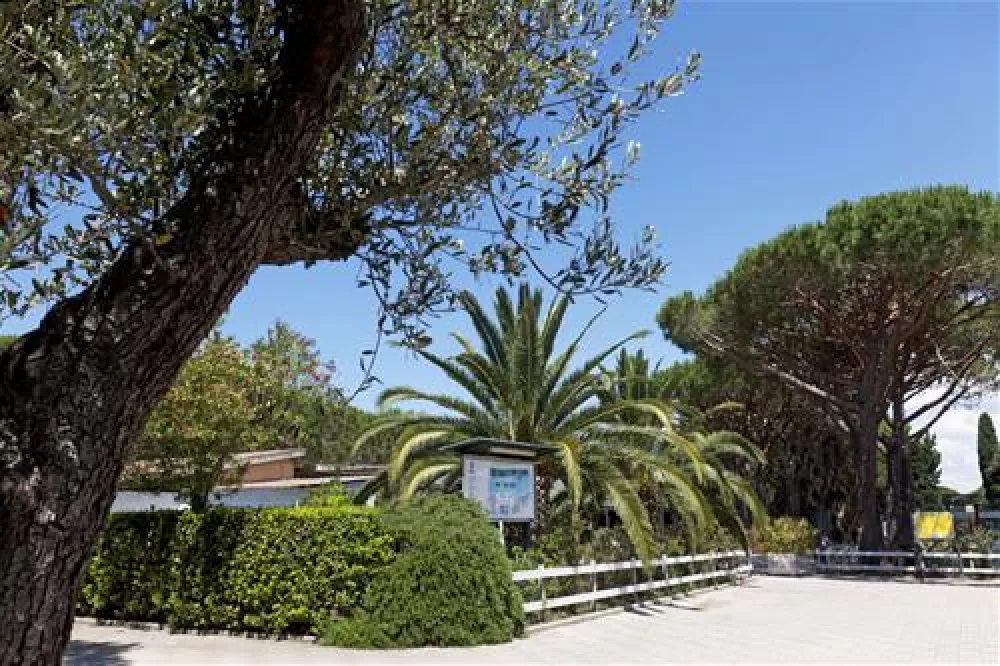 Camping Village Oasi