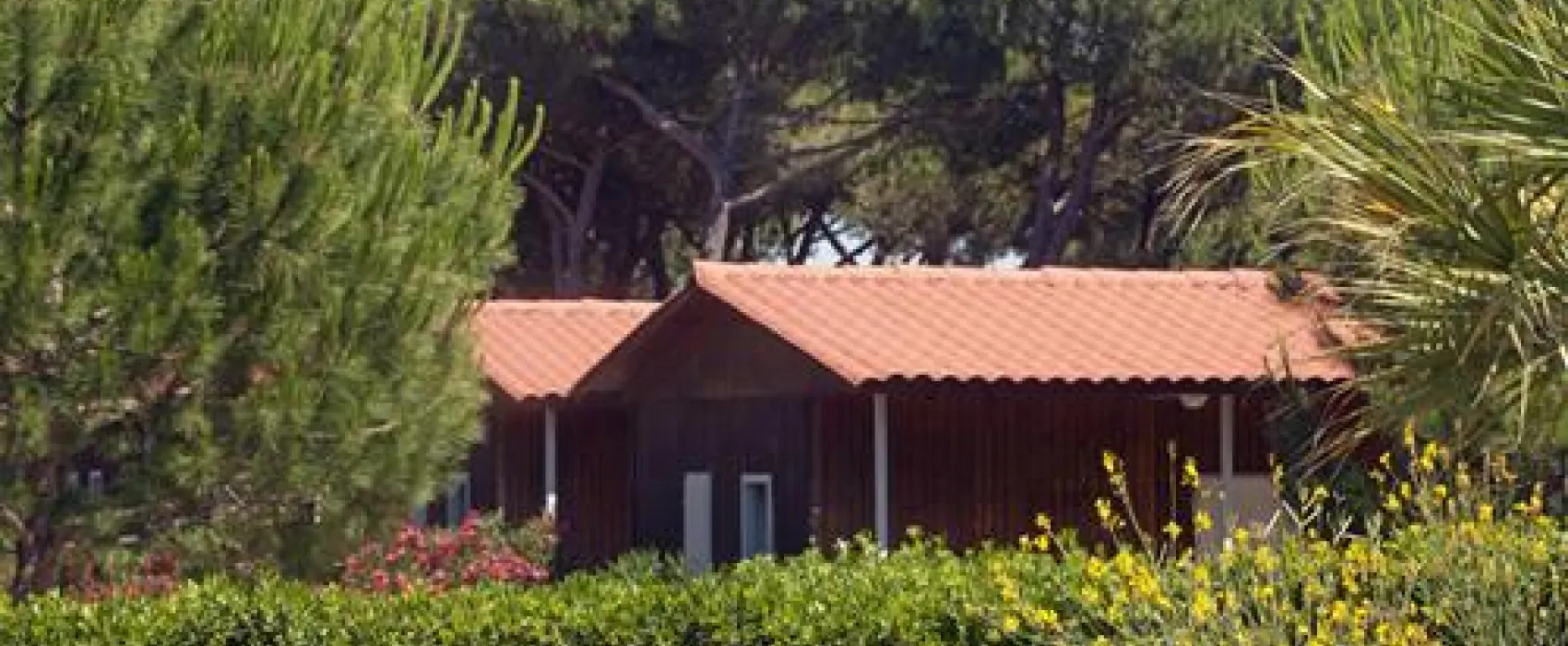 Camping Village Oasi