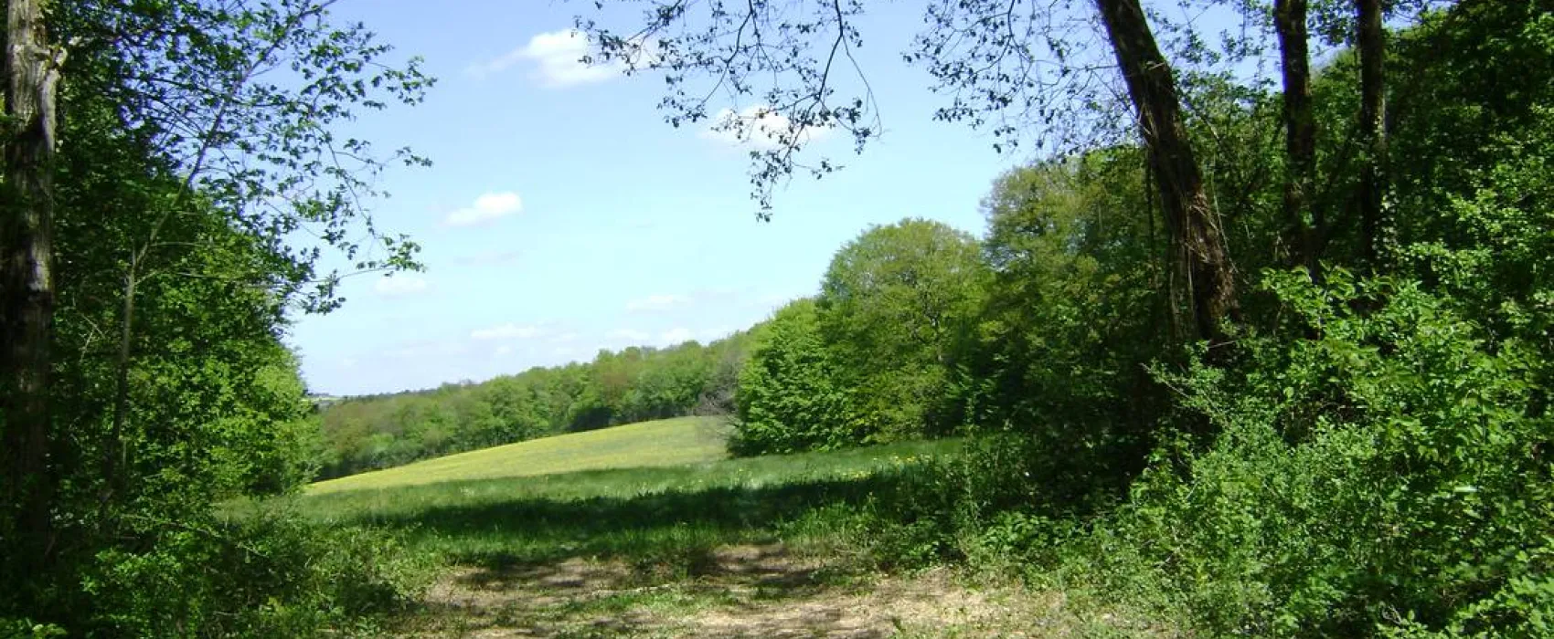 Camping à la ferme Domaine de la Pierre Percée