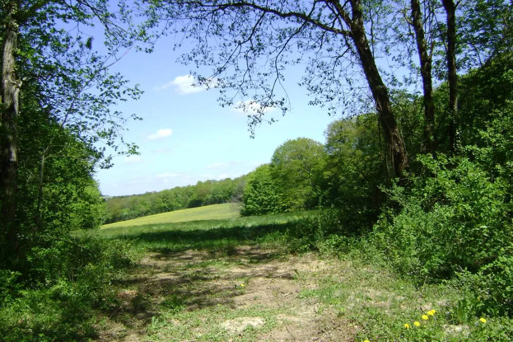 Camping à la ferme Domaine de la Pierre Percée
