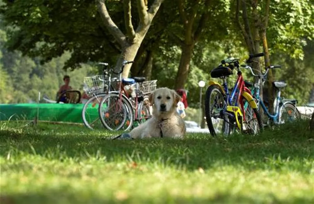 Main Spessart Camping International