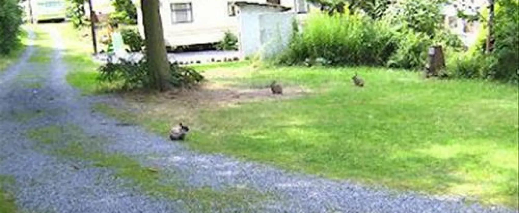 Camping De La Sabliere