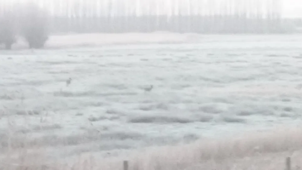 Camping Beijaartshoeve