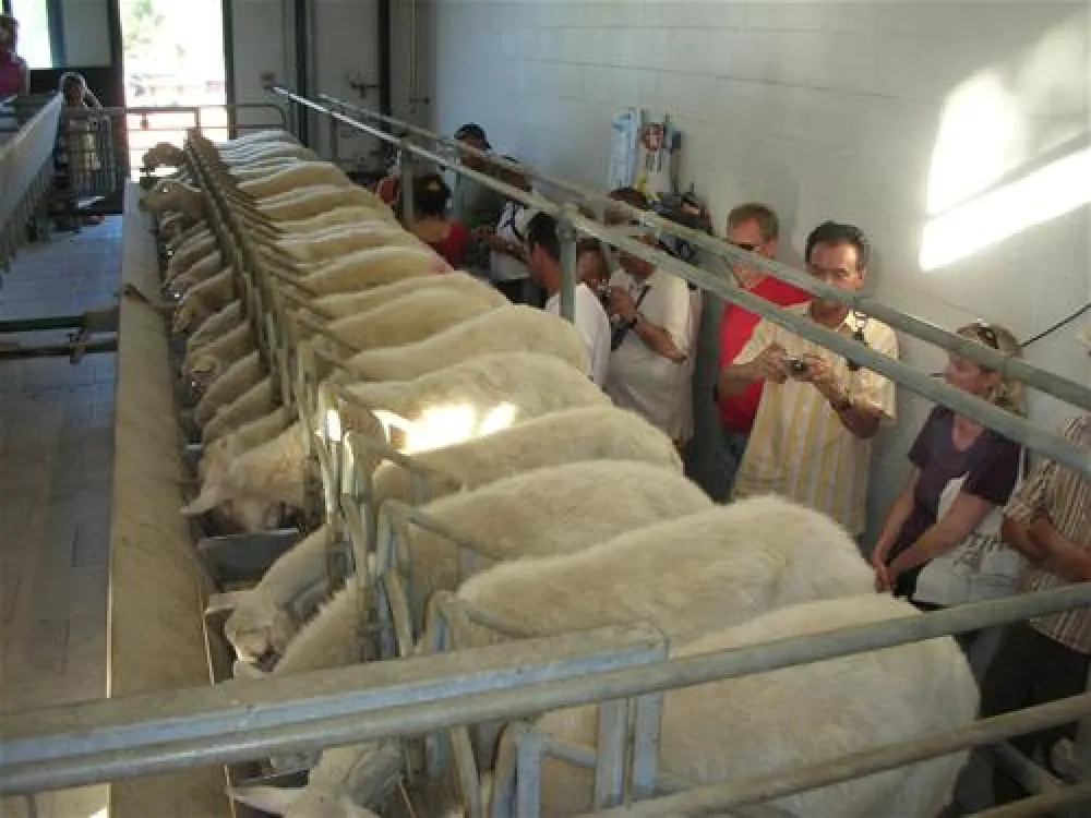 Campeggio Capo Ferrato