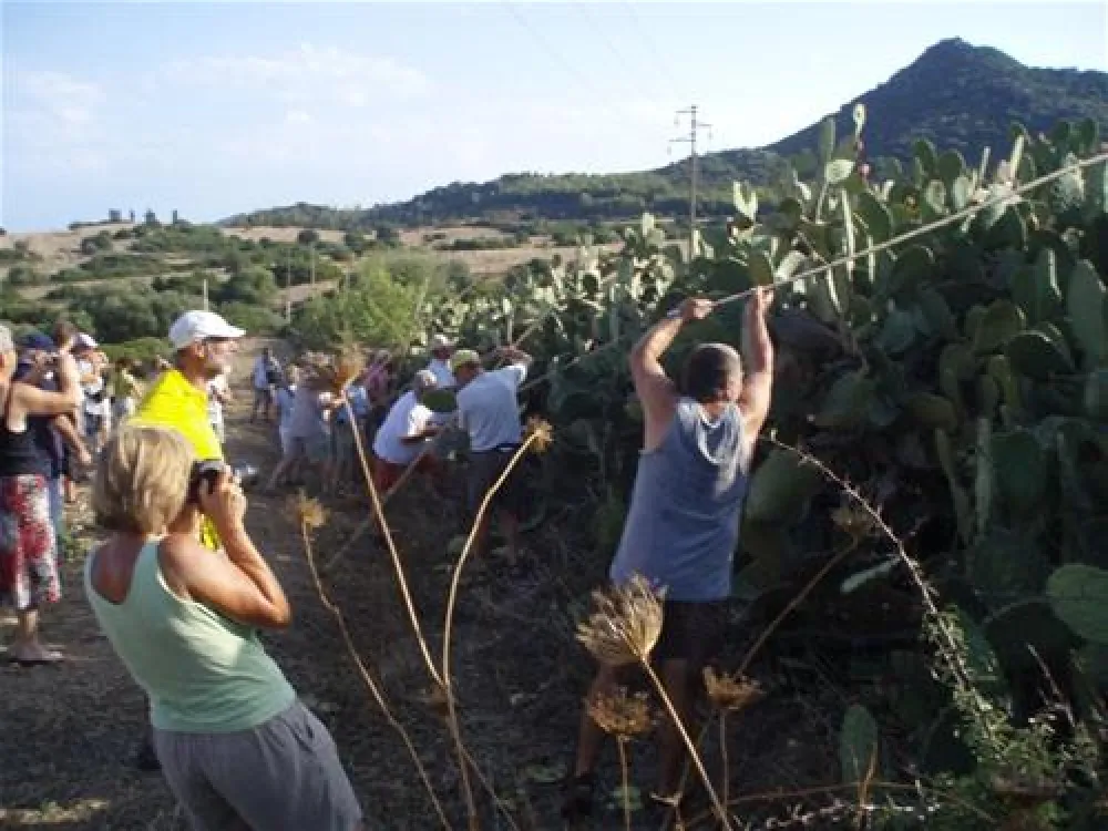 Campeggio Capo Ferrato