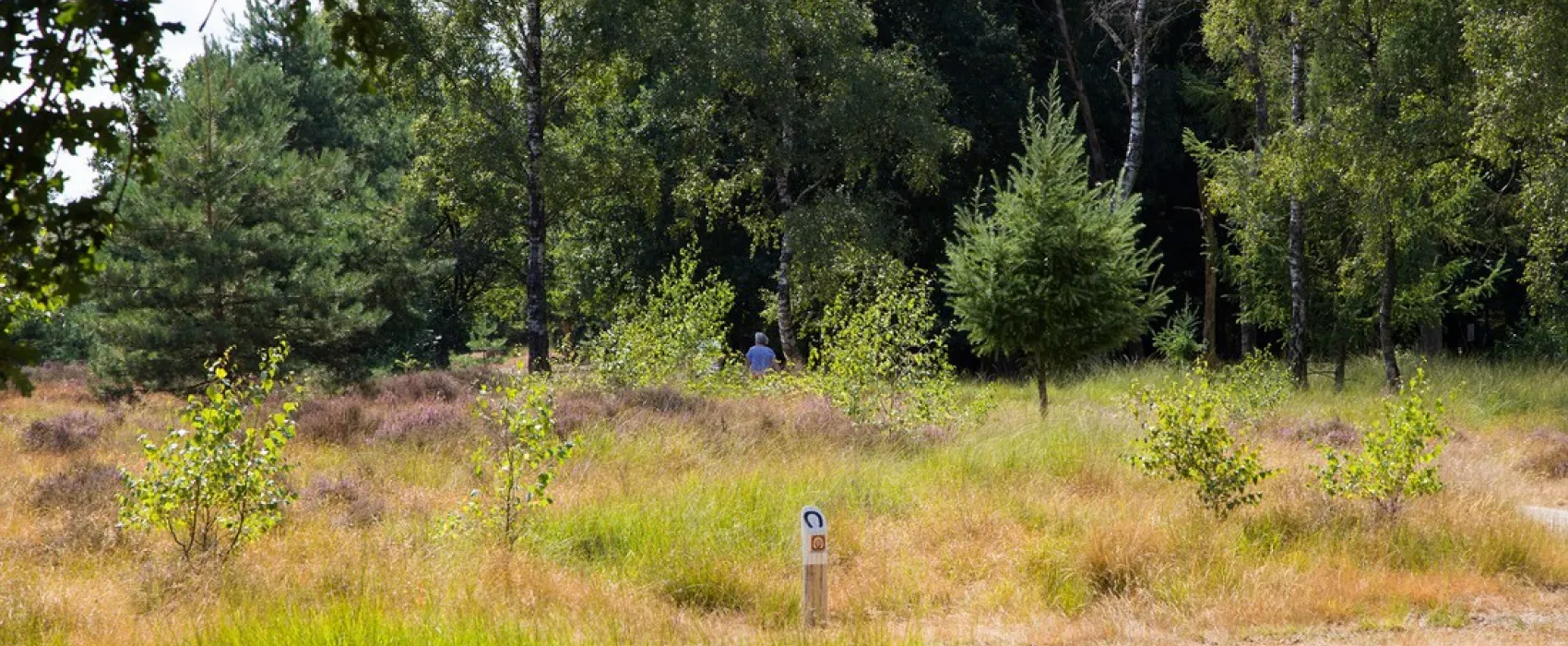 Camping De Ullingse Bergen