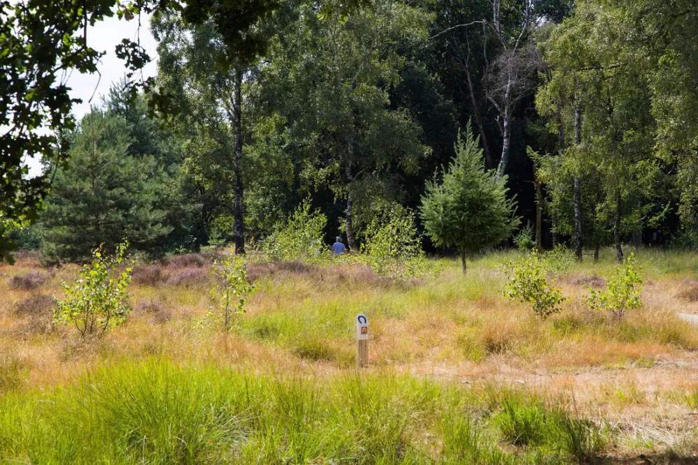 Camping De Ullingse Bergen