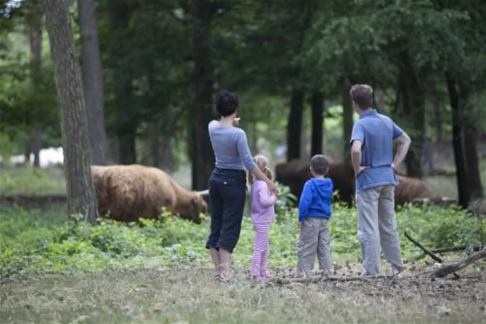 Camping De Ullingse Bergen