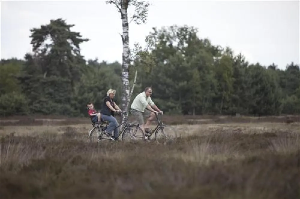 Camping De Ullingse Bergen