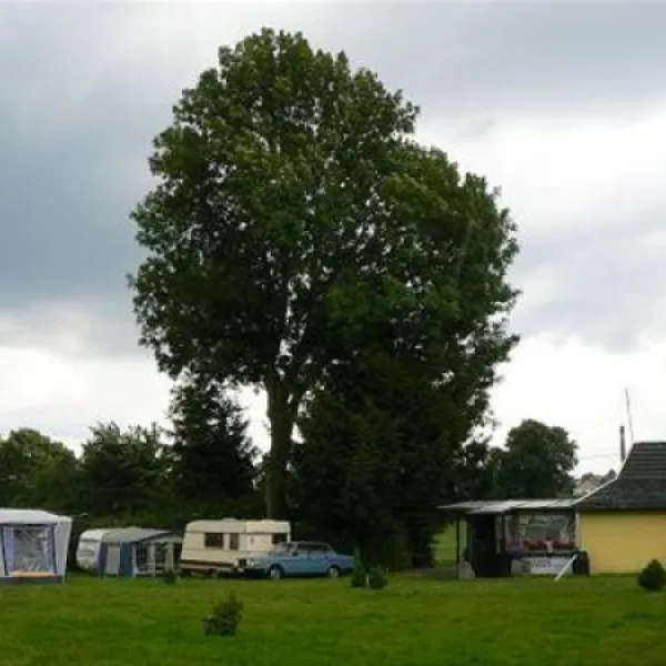 Campsite Congolo