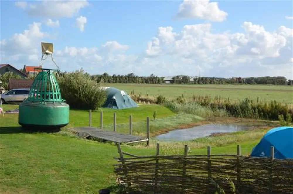Tussen wad en strand