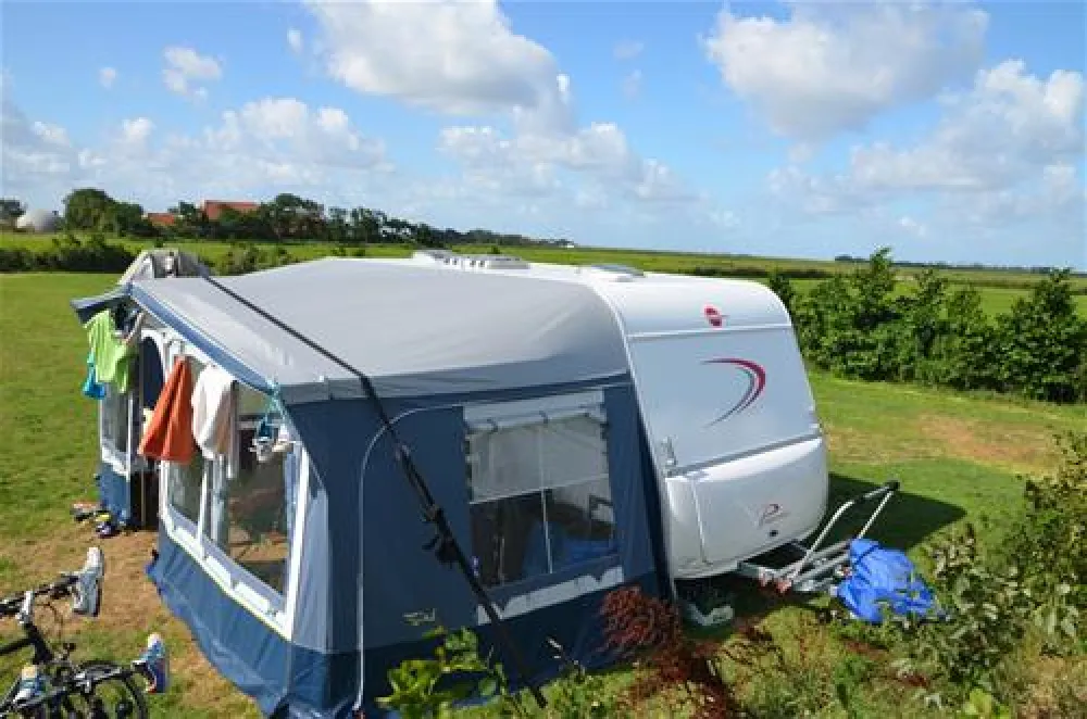 Tussen wad en strand