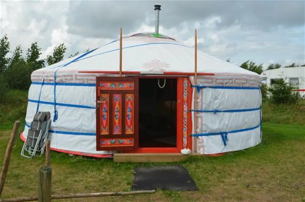 Tussen wad en strand