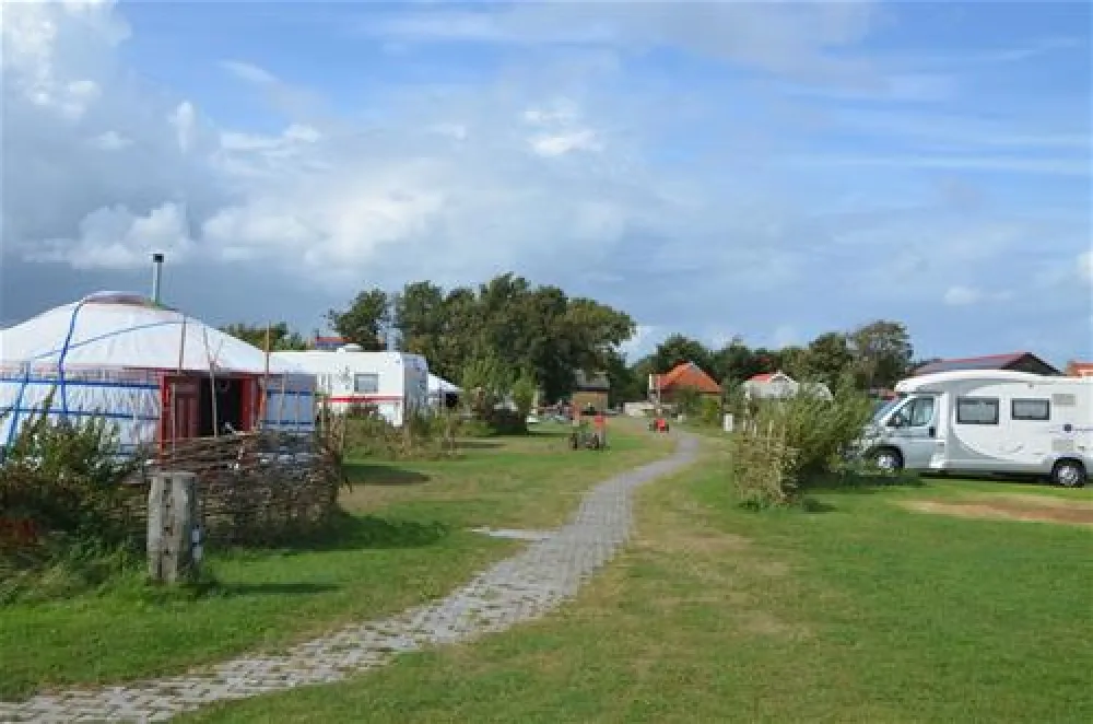 Tussen wad en strand