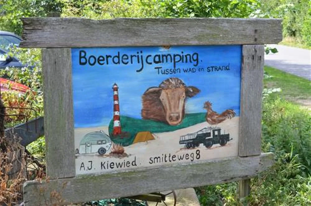 Tussen wad en strand