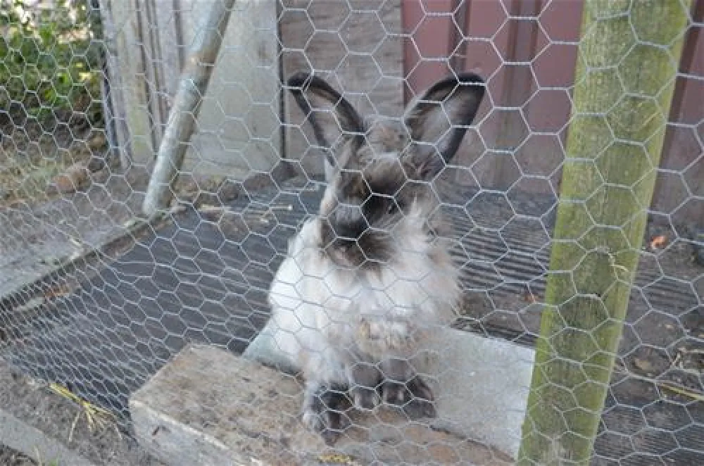 Tussen wad en strand
