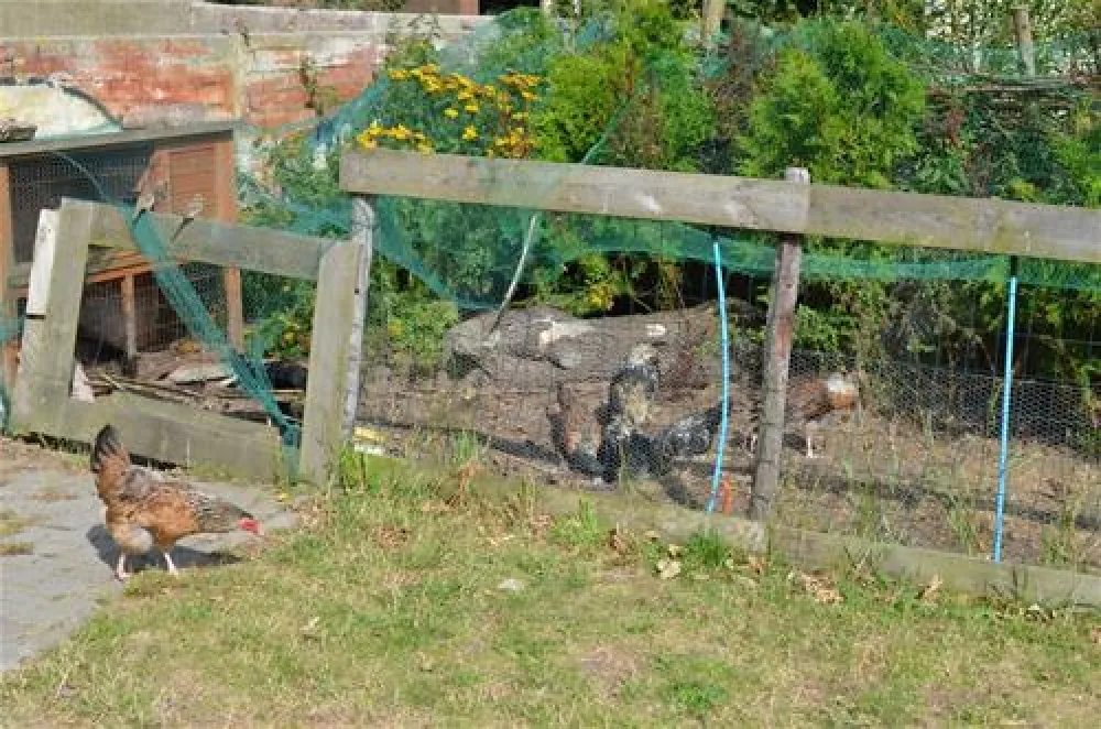 Tussen wad en strand