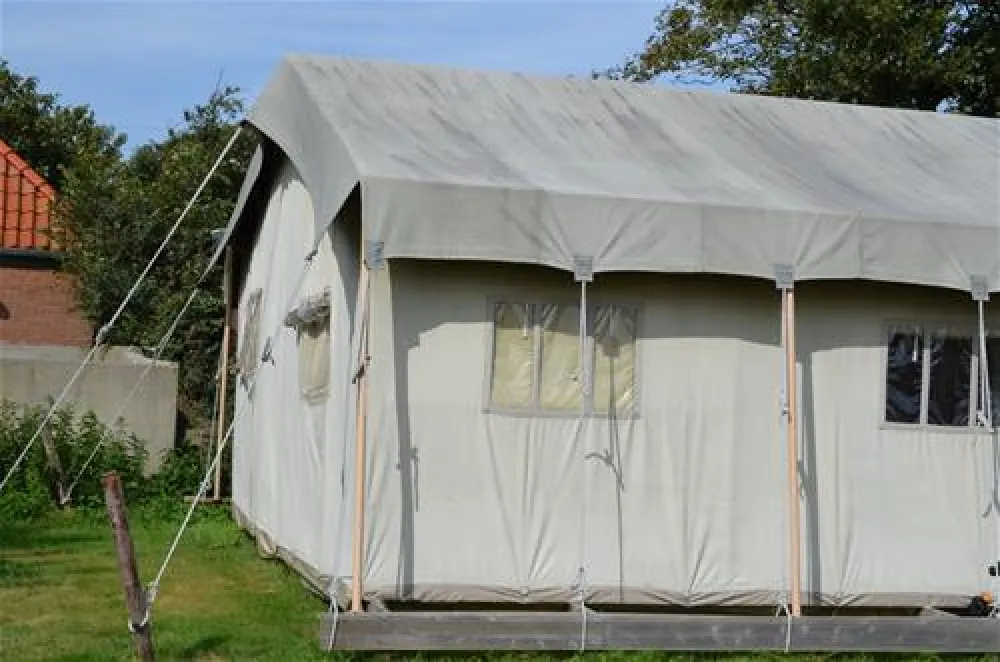 Tussen wad en strand