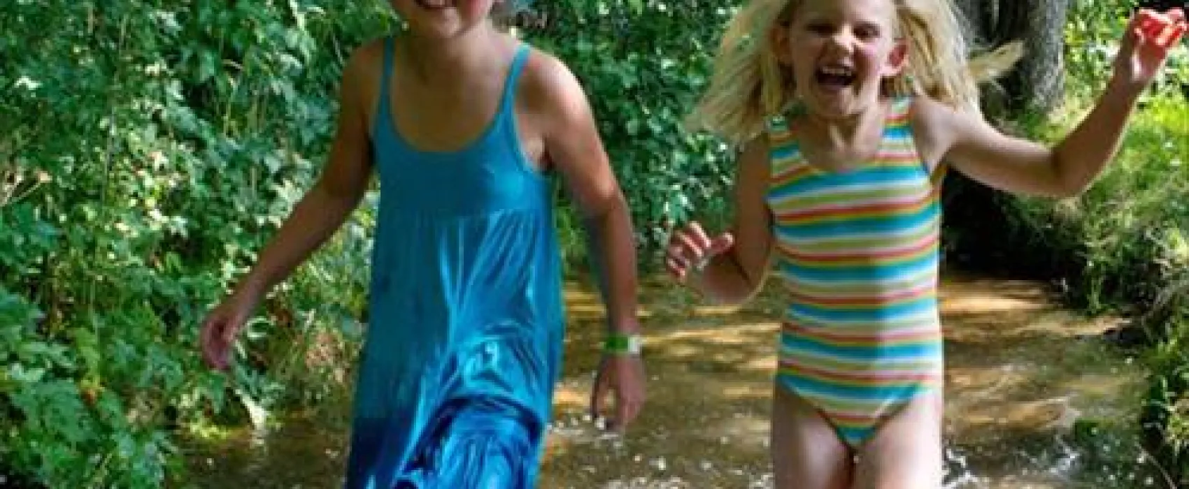 Le Clos De La Chaume