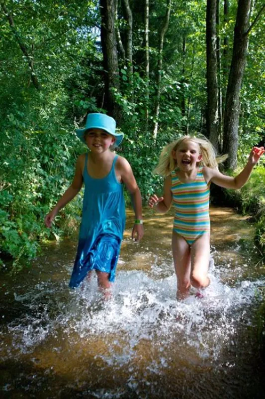 Le Clos De La Chaume