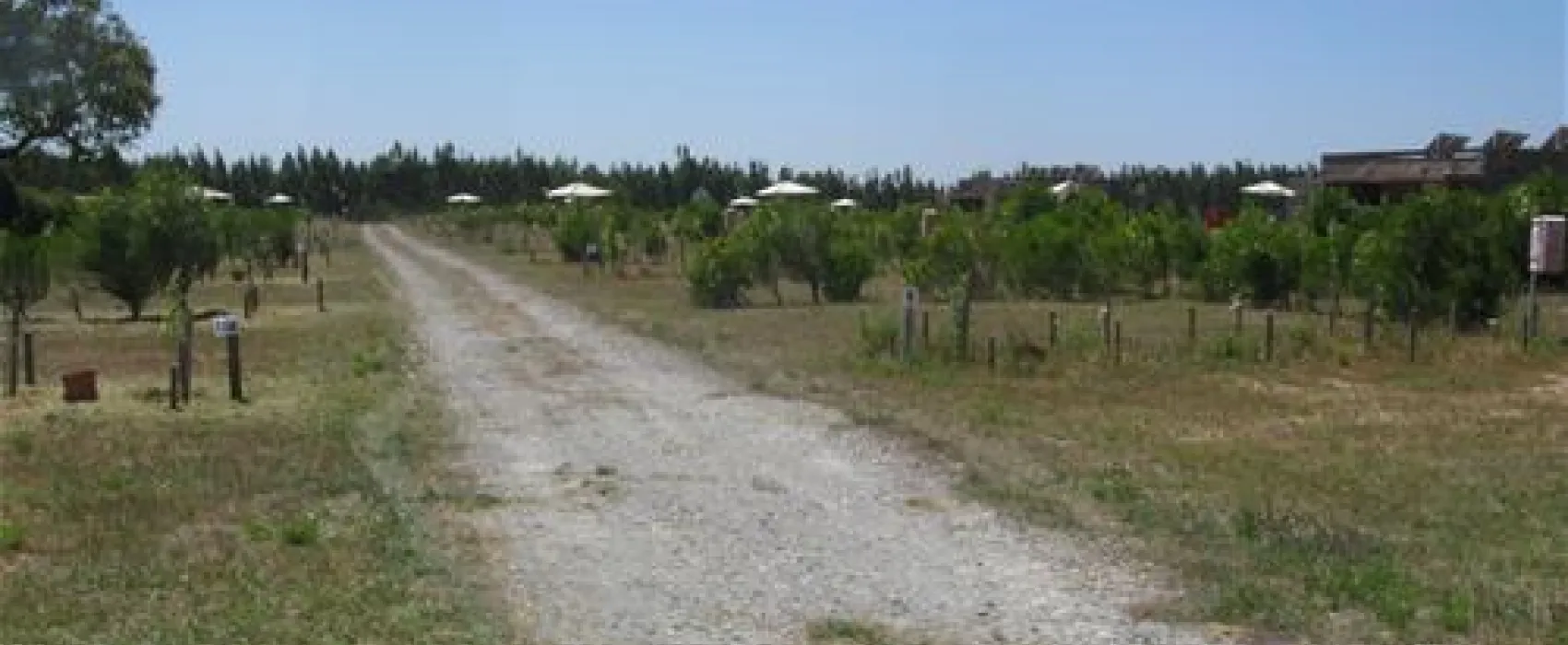 Zmar Eco Campo Resort & Spa