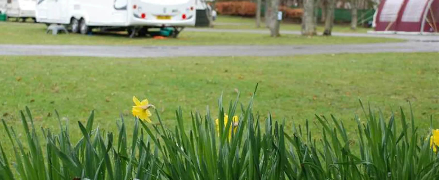 Dingwall Camping and Caravanning Club Site