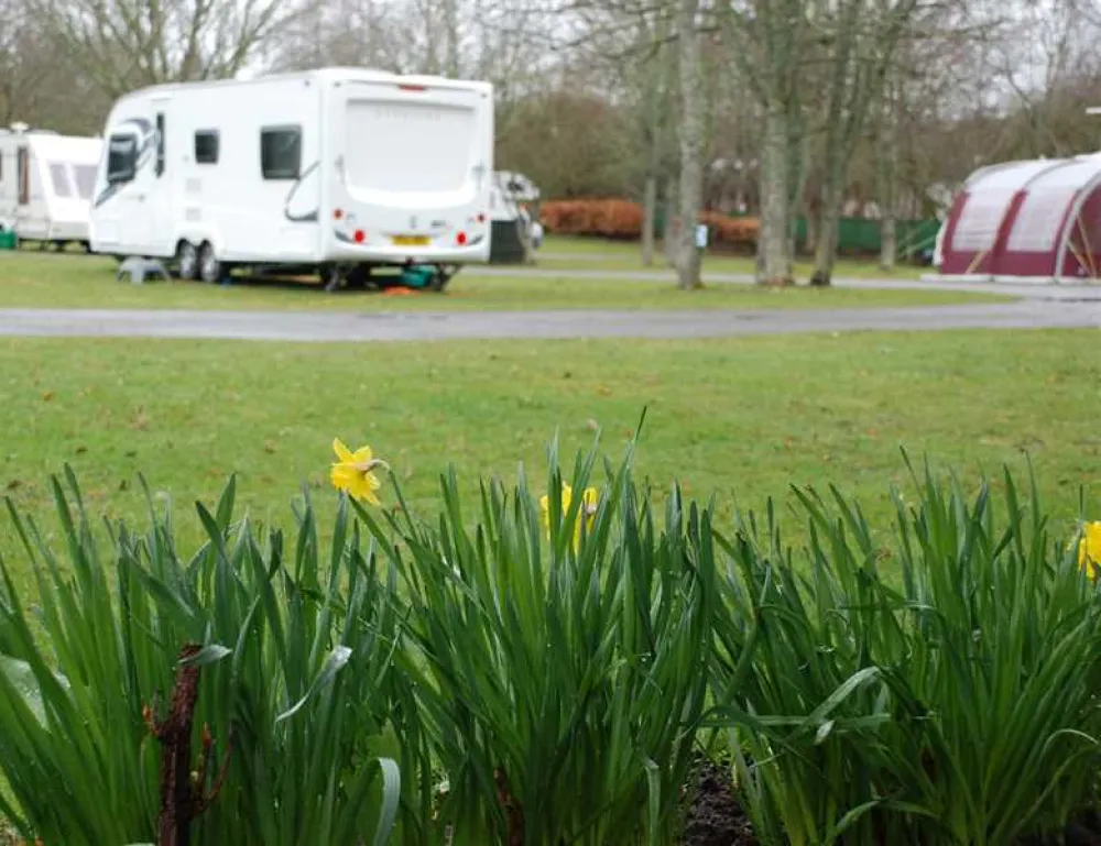 Dingwall Camping and Caravanning Club Site